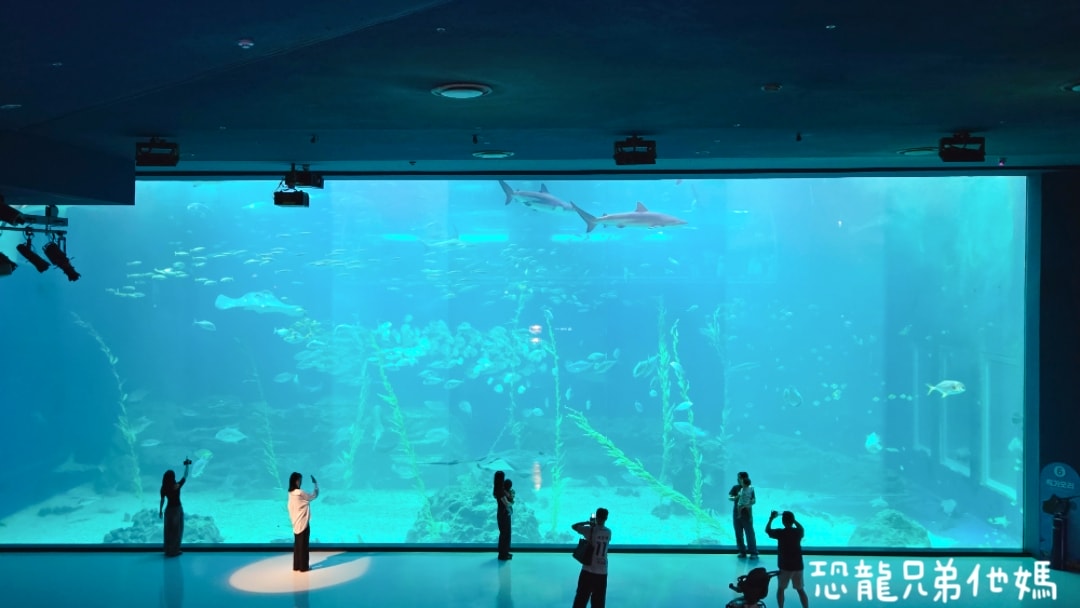 韓國‧濟洲水上星球(아쿠아플라넷제주 ,Aqua Planet),韓國最大水族館,超震撼海底隧道、海女潛水秀、超萌魟魚表演全攻略,濟州必玩景點!!2025.08 - 第154張圖 韓國‧濟洲水上星球(아쿠아플라넷제주 ,Aqua Planet),韓國最大水族館,超震撼海底隧道、海女潛水秀、超萌魟魚表演全攻略,濟州必玩景點!!2025.08