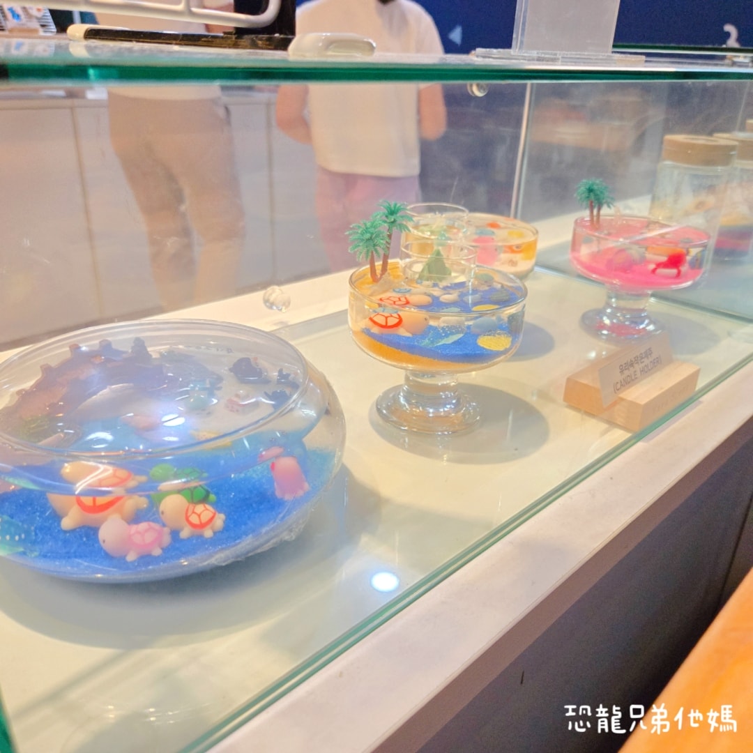 韓國‧濟洲水上星球(아쿠아플라넷제주 ,Aqua Planet)，韓國最大水族館，超震撼海底隧道、海女潛水秀、超萌魟魚表演全攻略，濟州必玩景點!!2025.08
