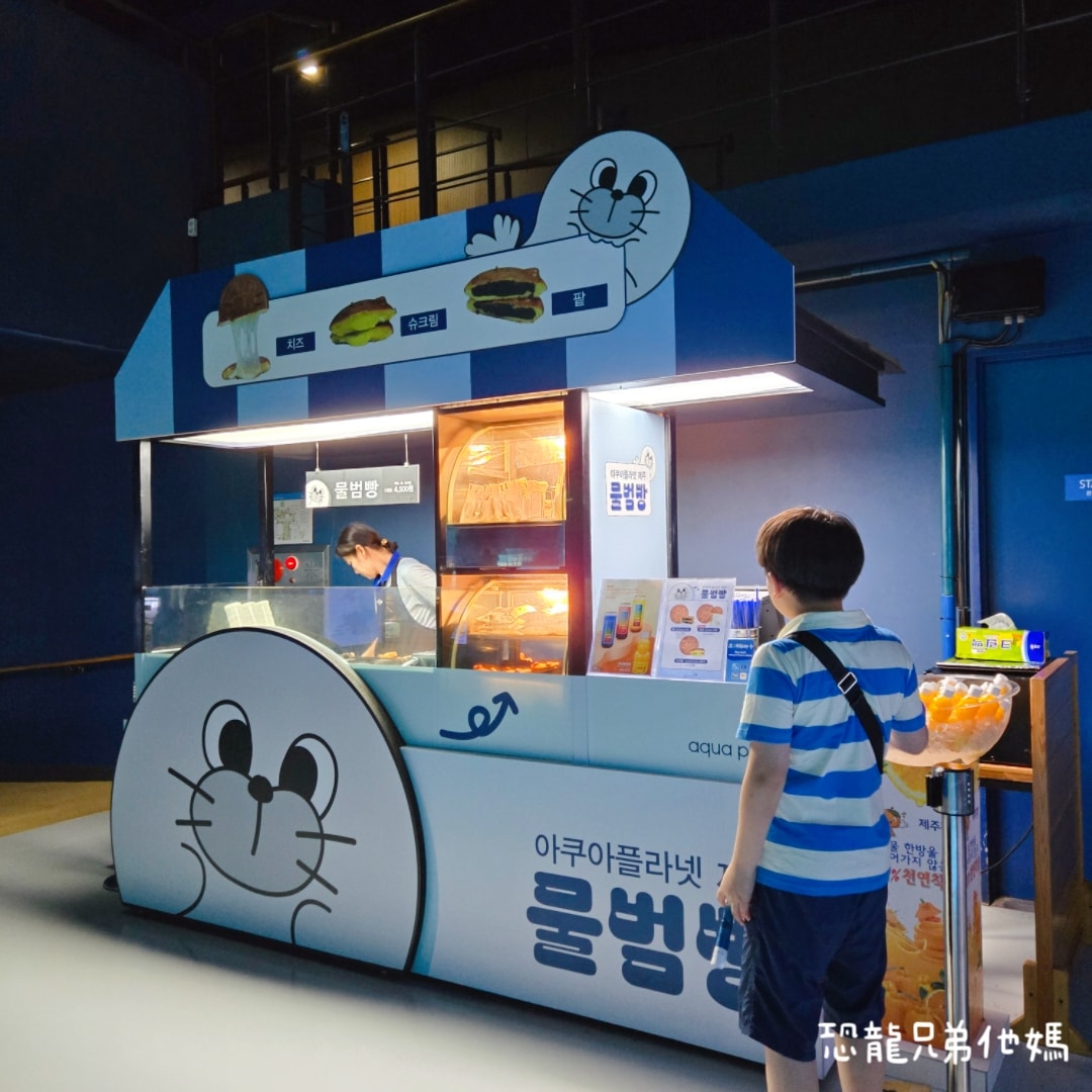 韓國‧濟洲水上星球(아쿠아플라넷제주 ,Aqua Planet),韓國最大水族館,超震撼海底隧道、海女潛水秀、超萌魟魚表演全攻略,濟州必玩景點!!2025.08 - 第156張圖 韓國‧濟洲水上星球(아쿠아플라넷제주 ,Aqua Planet),韓國最大水族館,超震撼海底隧道、海女潛水秀、超萌魟魚表演全攻略,濟州必玩景點!!2025.08