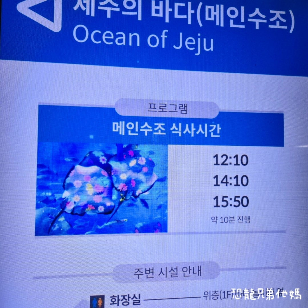 韓國‧濟洲水上星球(아쿠아플라넷제주 ,Aqua Planet),韓國最大水族館,超震撼海底隧道、海女潛水秀、超萌魟魚表演全攻略,濟州必玩景點!!2025.08 - 第157張圖 韓國‧濟洲水上星球(아쿠아플라넷제주 ,Aqua Planet),韓國最大水族館,超震撼海底隧道、海女潛水秀、超萌魟魚表演全攻略,濟州必玩景點!!2025.08