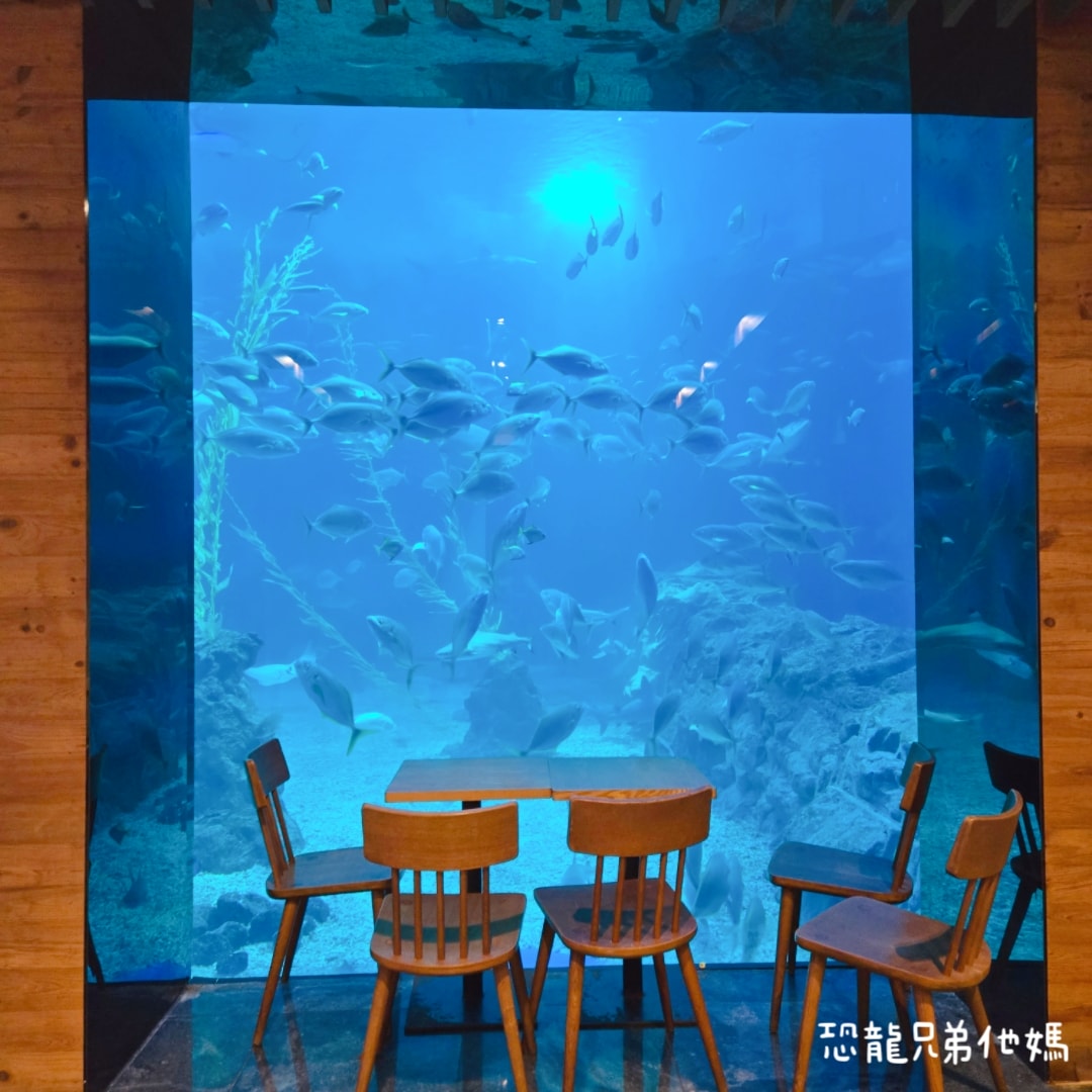 韓國‧濟洲水上星球(아쿠아플라넷제주 ,Aqua Planet),韓國最大水族館,超震撼海底隧道、海女潛水秀、超萌魟魚表演全攻略,濟州必玩景點!!2025.08 - 第163張圖 韓國‧濟洲水上星球(아쿠아플라넷제주 ,Aqua Planet),韓國最大水族館,超震撼海底隧道、海女潛水秀、超萌魟魚表演全攻略,濟州必玩景點!!2025.08