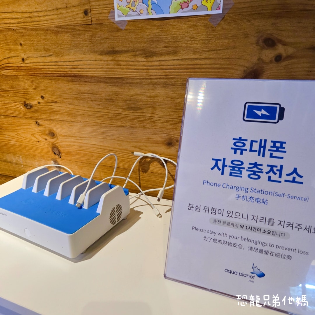 韓國‧濟洲水上星球(아쿠아플라넷제주 ,Aqua Planet),韓國最大水族館,超震撼海底隧道、海女潛水秀、超萌魟魚表演全攻略,濟州必玩景點!!2025.08 - 第165張圖 韓國‧濟洲水上星球(아쿠아플라넷제주 ,Aqua Planet),韓國最大水族館,超震撼海底隧道、海女潛水秀、超萌魟魚表演全攻略,濟州必玩景點!!2025.08