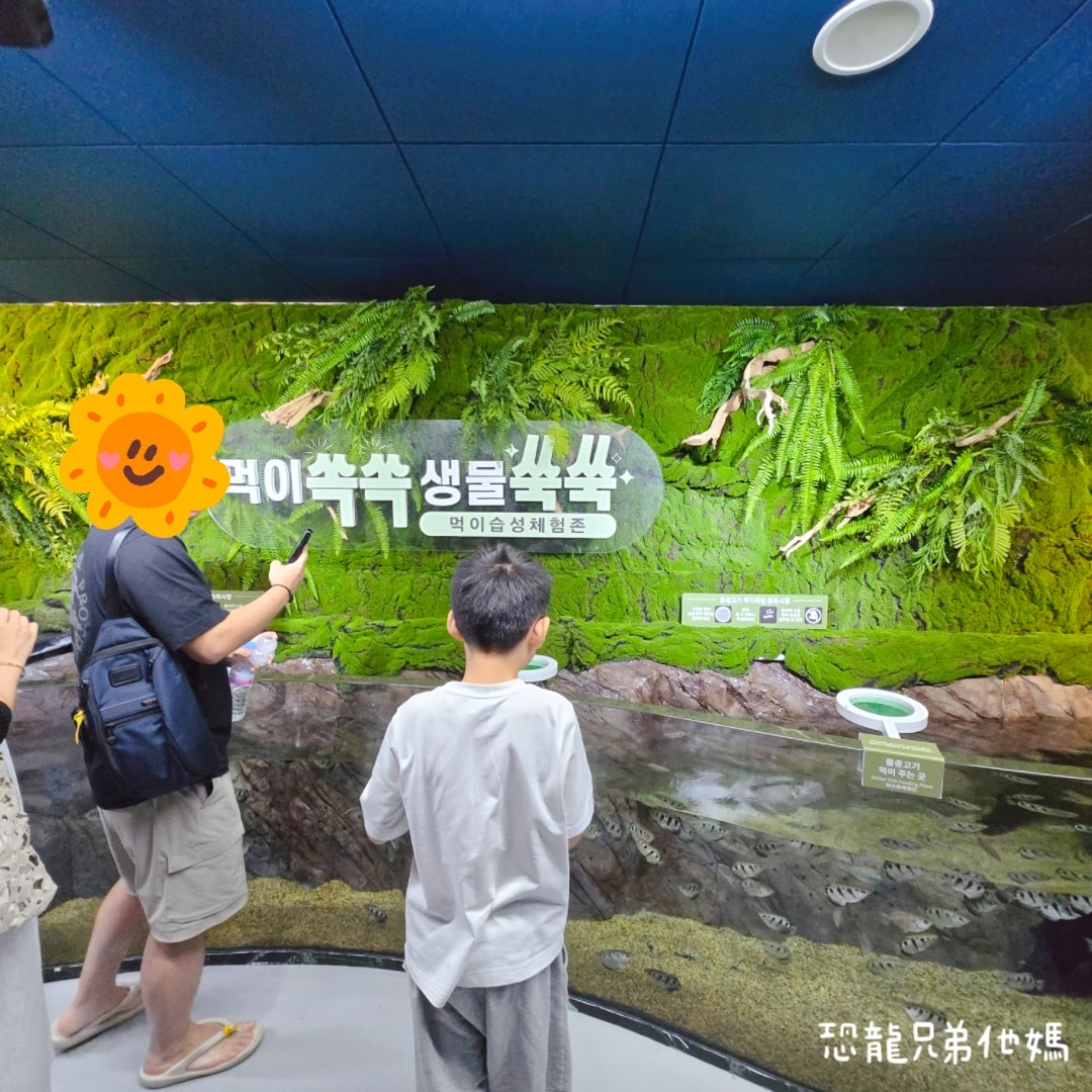韓國‧濟洲水上星球(아쿠아플라넷제주 ,Aqua Planet),韓國最大水族館,超震撼海底隧道、海女潛水秀、超萌魟魚表演全攻略,濟州必玩景點!!2025.08 - 第167張圖 韓國‧濟洲水上星球(아쿠아플라넷제주 ,Aqua Planet),韓國最大水族館,超震撼海底隧道、海女潛水秀、超萌魟魚表演全攻略,濟州必玩景點!!2025.08