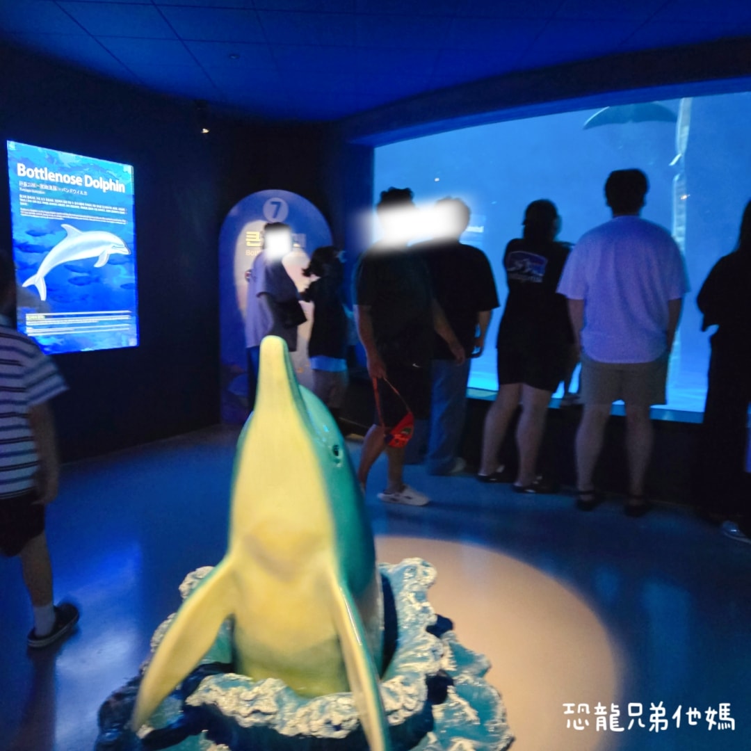 韓國‧濟洲水上星球(아쿠아플라넷제주 ,Aqua Planet),韓國最大水族館,超震撼海底隧道、海女潛水秀、超萌魟魚表演全攻略,濟州必玩景點!!2025.08 - 第174張圖 韓國‧濟洲水上星球(아쿠아플라넷제주 ,Aqua Planet),韓國最大水族館,超震撼海底隧道、海女潛水秀、超萌魟魚表演全攻略,濟州必玩景點!!2025.08