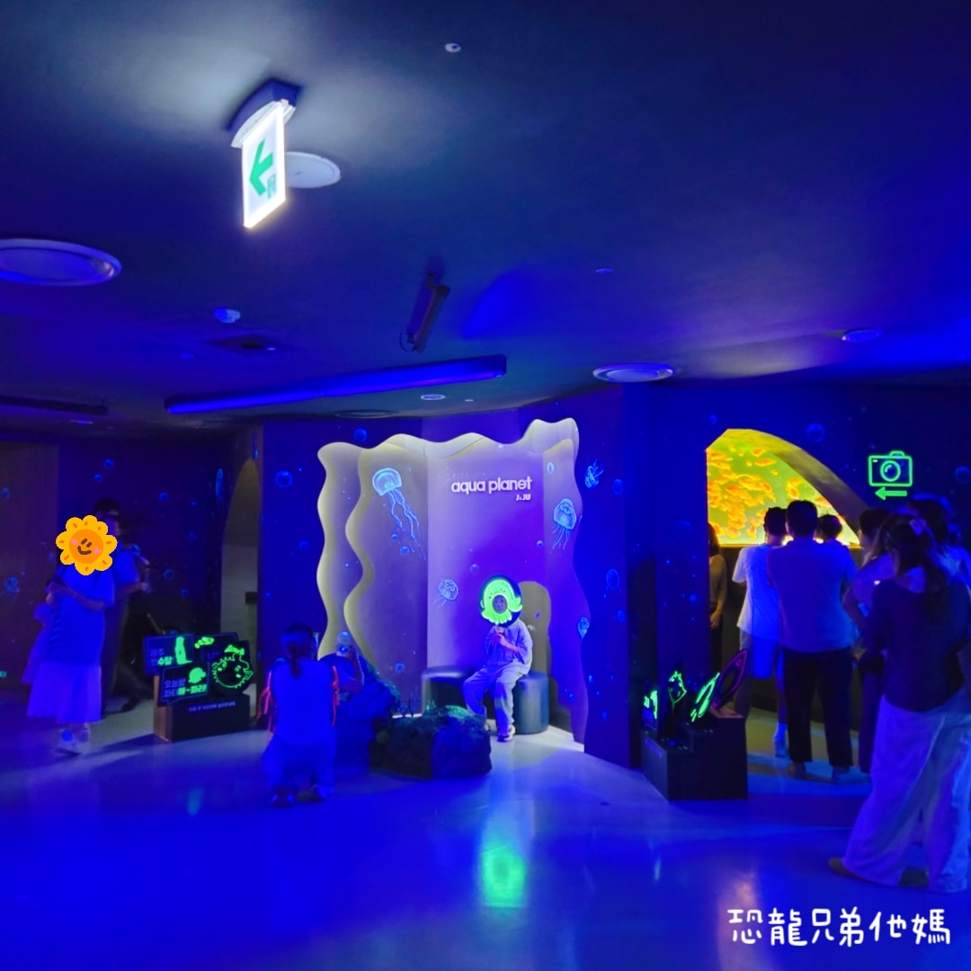 韓國‧濟洲水上星球(아쿠아플라넷제주 ,Aqua Planet)，韓國最大水族館，超震撼海底隧道、海女潛水秀、超萌魟魚表演全攻略，濟州必玩景點!!2025.08