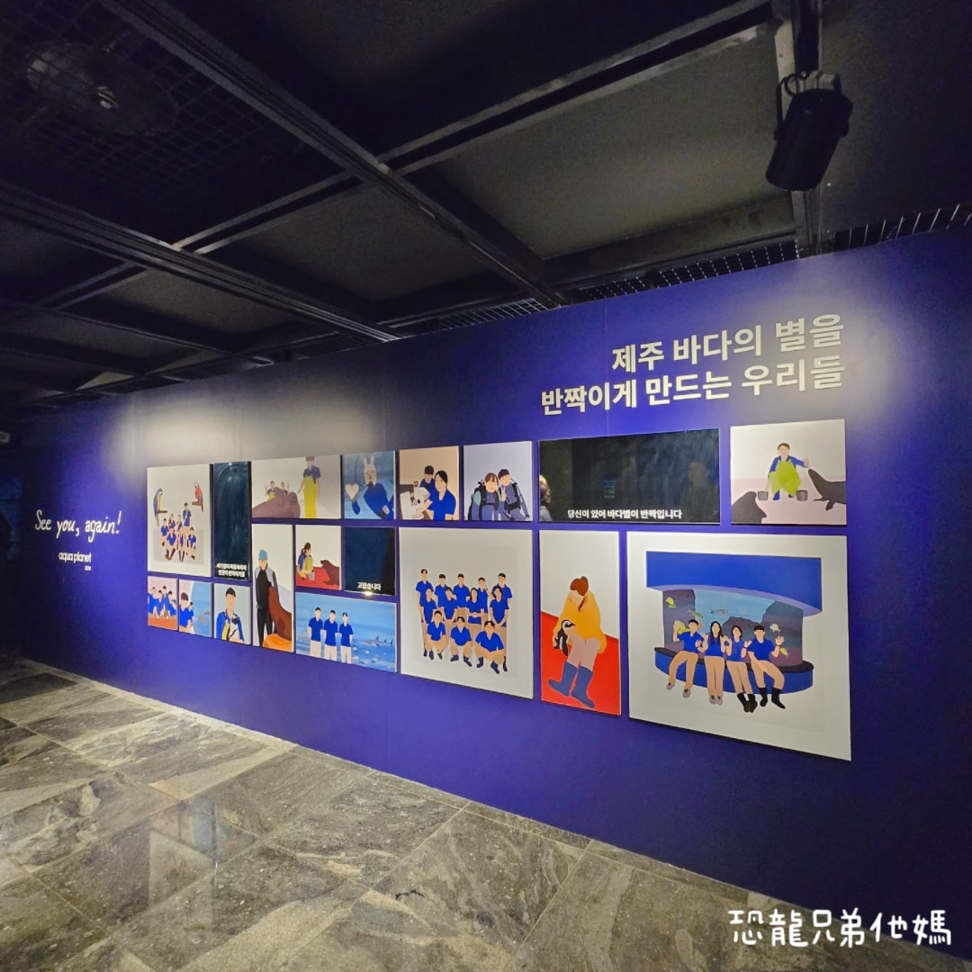 韓國‧濟洲水上星球(아쿠아플라넷제주 ,Aqua Planet),韓國最大水族館,超震撼海底隧道、海女潛水秀、超萌魟魚表演全攻略,濟州必玩景點!!2025.08 - 第184張圖 韓國‧濟洲水上星球(아쿠아플라넷제주 ,Aqua Planet),韓國最大水族館,超震撼海底隧道、海女潛水秀、超萌魟魚表演全攻略,濟州必玩景點!!2025.08