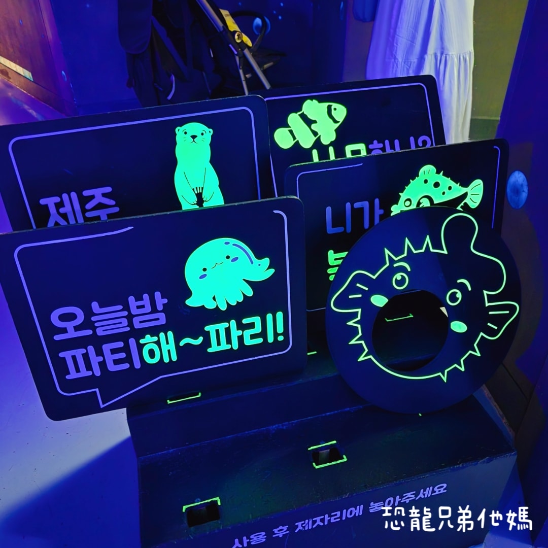 韓國‧濟洲水上星球(아쿠아플라넷제주 ,Aqua Planet),韓國最大水族館,超震撼海底隧道、海女潛水秀、超萌魟魚表演全攻略,濟州必玩景點!!2025.08 - 第179張圖 韓國‧濟洲水上星球(아쿠아플라넷제주 ,Aqua Planet),韓國最大水族館,超震撼海底隧道、海女潛水秀、超萌魟魚表演全攻略,濟州必玩景點!!2025.08