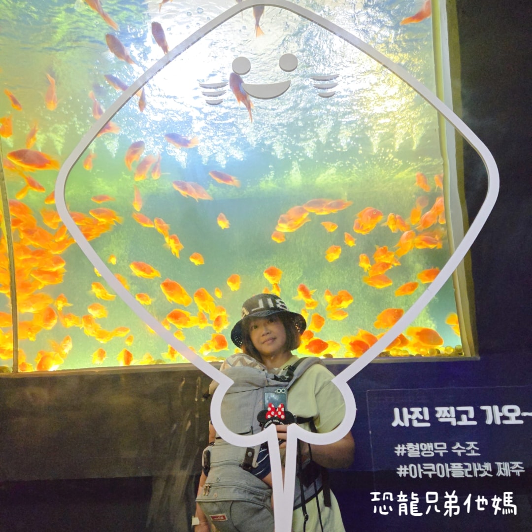 韓國‧濟洲水上星球(아쿠아플라넷제주 ,Aqua Planet)，韓國最大水族館，超震撼海底隧道、海女潛水秀、超萌魟魚表演全攻略，濟州必玩景點!!2025.08