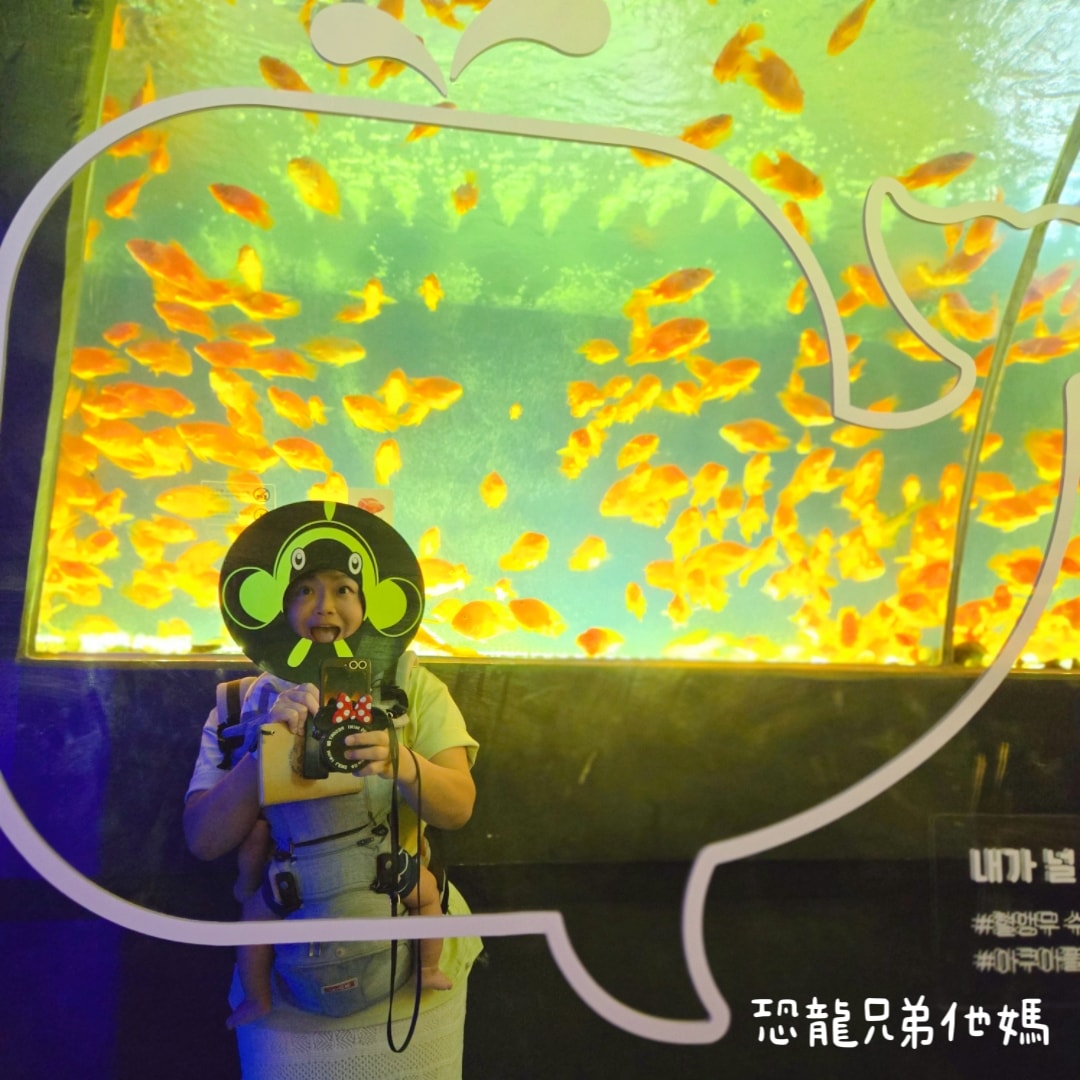 韓國‧濟洲水上星球(아쿠아플라넷제주 ,Aqua Planet),韓國最大水族館,超震撼海底隧道、海女潛水秀、超萌魟魚表演全攻略,濟州必玩景點!!2025.08 - 第183張圖 韓國‧濟洲水上星球(아쿠아플라넷제주 ,Aqua Planet),韓國最大水族館,超震撼海底隧道、海女潛水秀、超萌魟魚表演全攻略,濟州必玩景點!!2025.08