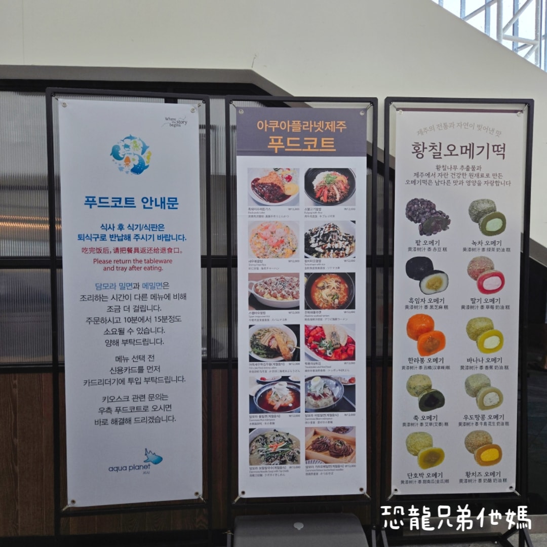 韓國‧濟洲水上星球(아쿠아플라넷제주 ,Aqua Planet),韓國最大水族館,超震撼海底隧道、海女潛水秀、超萌魟魚表演全攻略,濟州必玩景點!!2025.08 - 第202張圖 韓國‧濟洲水上星球(아쿠아플라넷제주 ,Aqua Planet),韓國最大水族館,超震撼海底隧道、海女潛水秀、超萌魟魚表演全攻略,濟州必玩景點!!2025.08