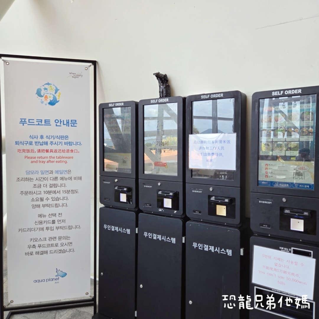 韓國‧濟洲水上星球(아쿠아플라넷제주 ,Aqua Planet),韓國最大水族館,超震撼海底隧道、海女潛水秀、超萌魟魚表演全攻略,濟州必玩景點!!2025.08 - 第204張圖 韓國‧濟洲水上星球(아쿠아플라넷제주 ,Aqua Planet),韓國最大水族館,超震撼海底隧道、海女潛水秀、超萌魟魚表演全攻略,濟州必玩景點!!2025.08