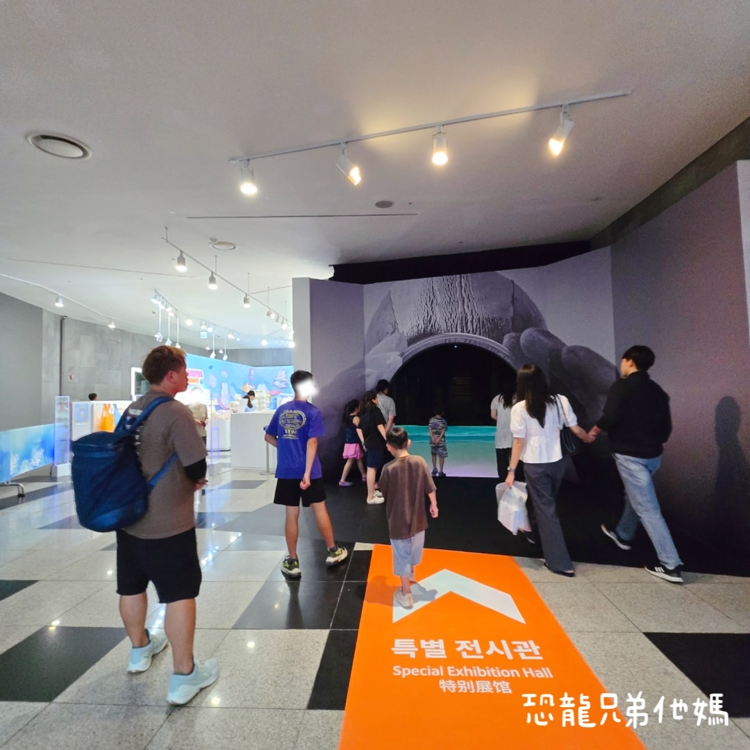 韓國‧濟洲水上星球(아쿠아플라넷제주 ,Aqua Planet),韓國最大水族館,超震撼海底隧道、海女潛水秀、超萌魟魚表演全攻略,濟州必玩景點!!2025.08 - 第234張圖 韓國‧濟洲水上星球(아쿠아플라넷제주 ,Aqua Planet),韓國最大水族館,超震撼海底隧道、海女潛水秀、超萌魟魚表演全攻略,濟州必玩景點!!2025.08