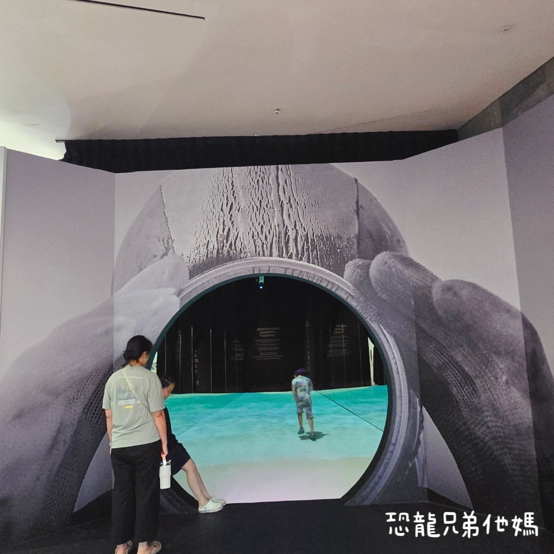 韓國‧濟洲水上星球(아쿠아플라넷제주 ,Aqua Planet)，韓國最大水族館，超震撼海底隧道、海女潛水秀、超萌魟魚表演全攻略，濟州必玩景點!!2025.08
