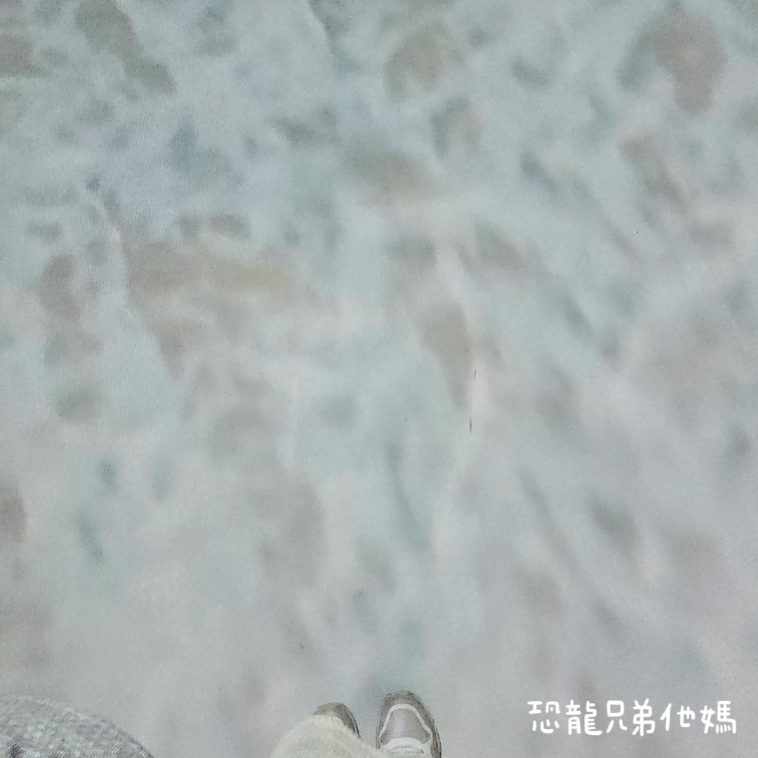 韓國‧濟洲水上星球(아쿠아플라넷제주 ,Aqua Planet)，韓國最大水族館，超震撼海底隧道、海女潛水秀、超萌魟魚表演全攻略，濟州必玩景點!!2025.08