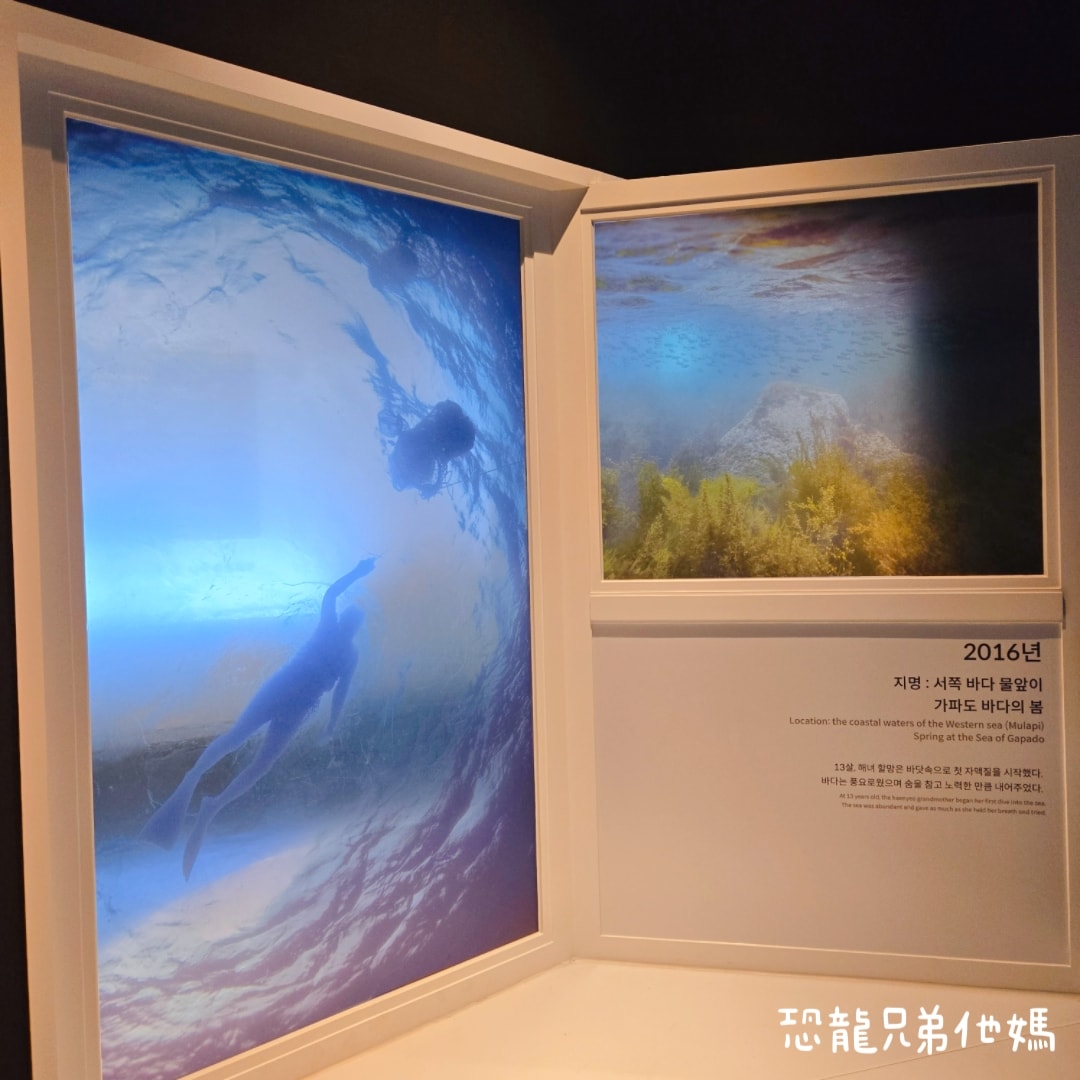 韓國‧濟洲水上星球(아쿠아플라넷제주 ,Aqua Planet),韓國最大水族館,超震撼海底隧道、海女潛水秀、超萌魟魚表演全攻略,濟州必玩景點!!2025.08 - 第256張圖 韓國‧濟洲水上星球(아쿠아플라넷제주 ,Aqua Planet),韓國最大水族館,超震撼海底隧道、海女潛水秀、超萌魟魚表演全攻略,濟州必玩景點!!2025.08