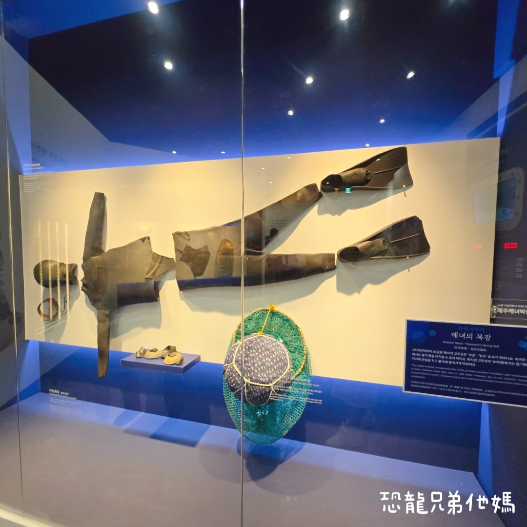 韓國‧濟洲水上星球(아쿠아플라넷제주 ,Aqua Planet)，韓國最大水族館，超震撼海底隧道、海女潛水秀、超萌魟魚表演全攻略，濟州必玩景點!!2025.08