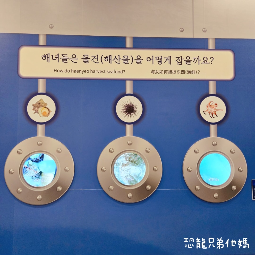 韓國‧濟洲水上星球(아쿠아플라넷제주 ,Aqua Planet)，韓國最大水族館，超震撼海底隧道、海女潛水秀、超萌魟魚表演全攻略，濟州必玩景點!!2025.08