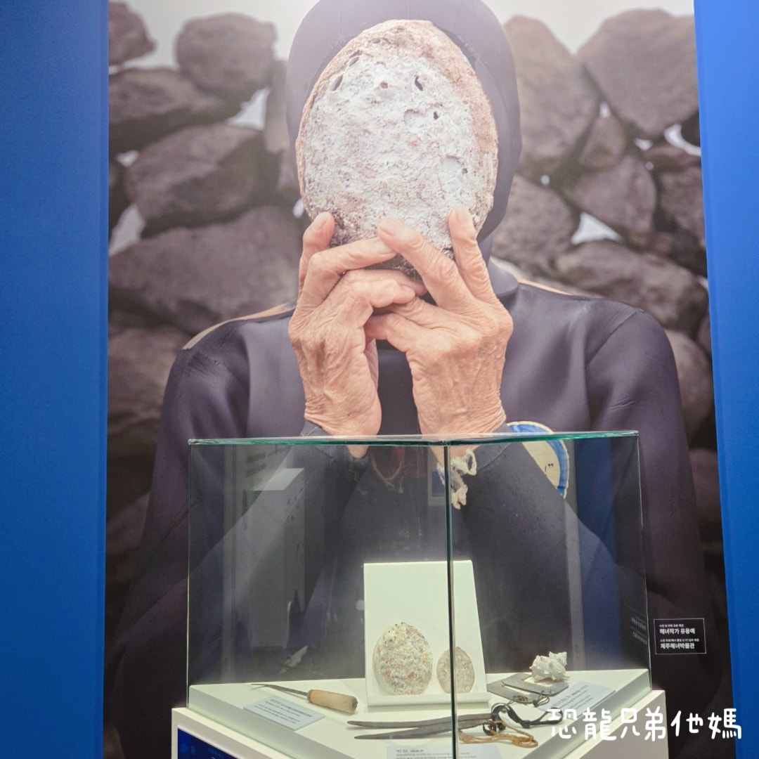 韓國‧濟洲水上星球(아쿠아플라넷제주 ,Aqua Planet)，韓國最大水族館，超震撼海底隧道、海女潛水秀、超萌魟魚表演全攻略，濟州必玩景點!!2025.08
