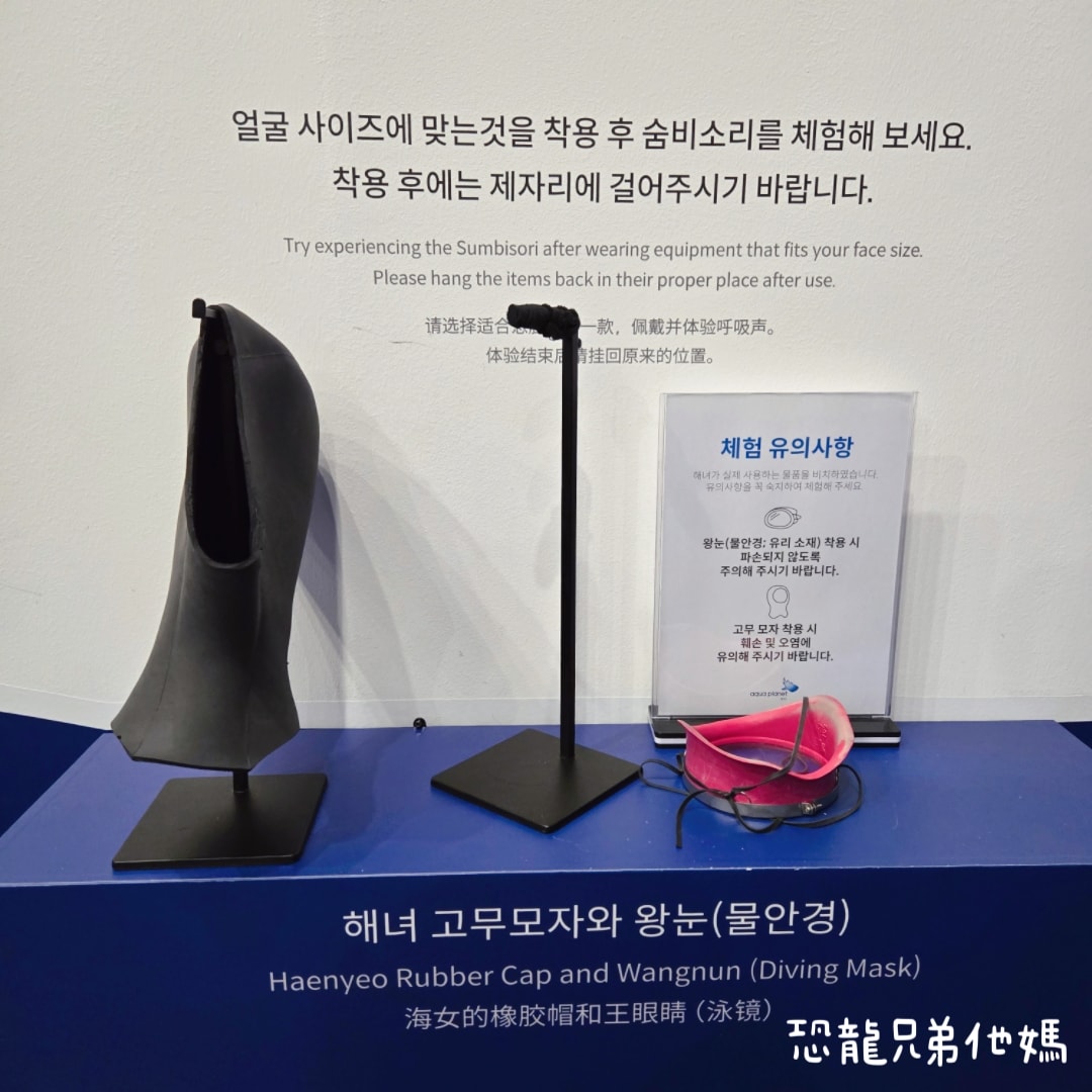 韓國‧濟洲水上星球(아쿠아플라넷제주 ,Aqua Planet),韓國最大水族館,超震撼海底隧道、海女潛水秀、超萌魟魚表演全攻略,濟州必玩景點!!2025.08 - 第263張圖 韓國‧濟洲水上星球(아쿠아플라넷제주 ,Aqua Planet),韓國最大水族館,超震撼海底隧道、海女潛水秀、超萌魟魚表演全攻略,濟州必玩景點!!2025.08