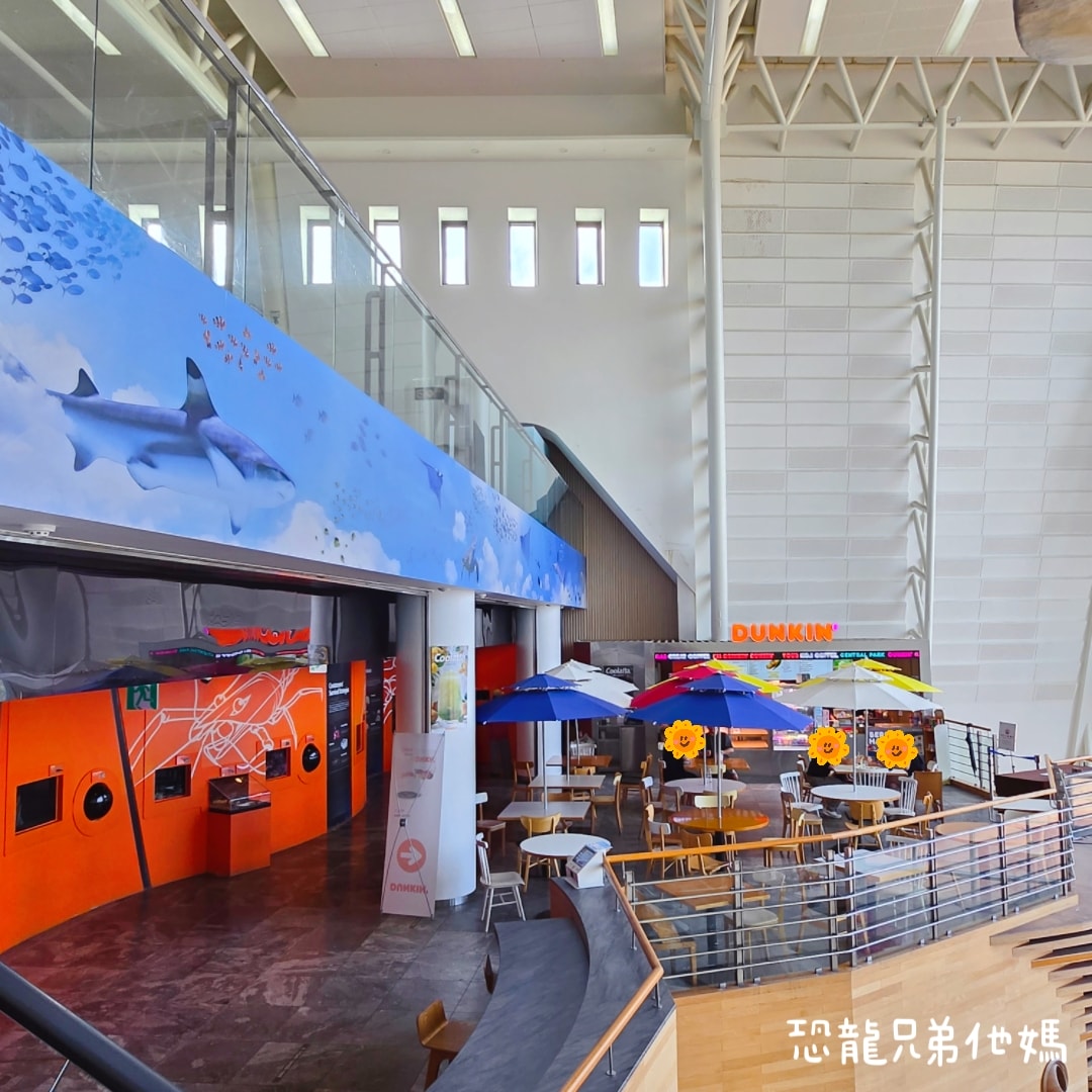 韓國‧濟洲水上星球(아쿠아플라넷제주 ,Aqua Planet),韓國最大水族館,超震撼海底隧道、海女潛水秀、超萌魟魚表演全攻略,濟州必玩景點!!2025.08 - 第97張圖 韓國‧濟洲水上星球(아쿠아플라넷제주 ,Aqua Planet),韓國最大水族館,超震撼海底隧道、海女潛水秀、超萌魟魚表演全攻略,濟州必玩景點!!2025.08
