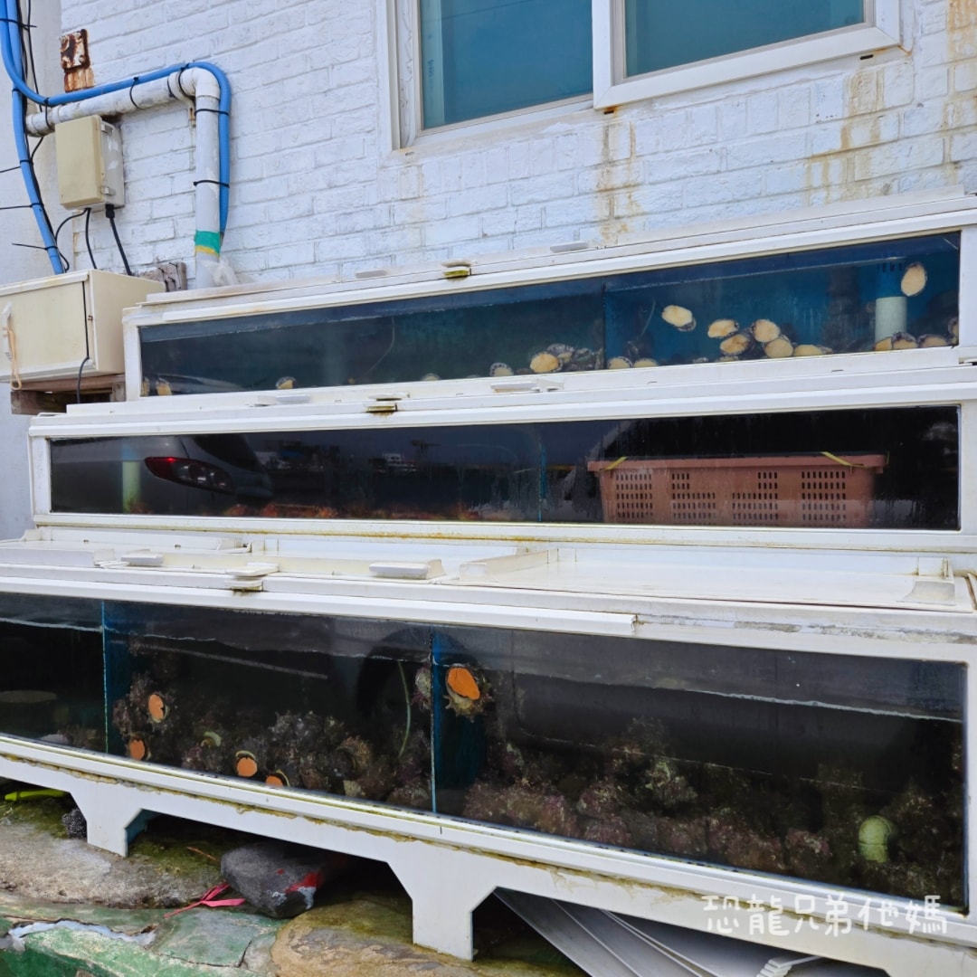 濟州島‧牛島海女餐廳(우도 해녀식당),有中文人員,活鮑魚火鍋,另有鮑魚海螺生魚片 - 第2張圖