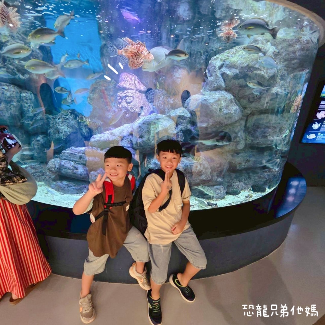 韓國‧濟洲水上星球(아쿠아플라넷제주 ,Aqua Planet),韓國最大水族館,超震撼海底隧道、海女潛水秀、超萌魟魚表演全攻略,濟州必玩景點!!2025.08 - 第44張圖 韓國‧濟洲水上星球(아쿠아플라넷제주 ,Aqua Planet),韓國最大水族館,超震撼海底隧道、海女潛水秀、超萌魟魚表演全攻略,濟州必玩景點!!2025.08