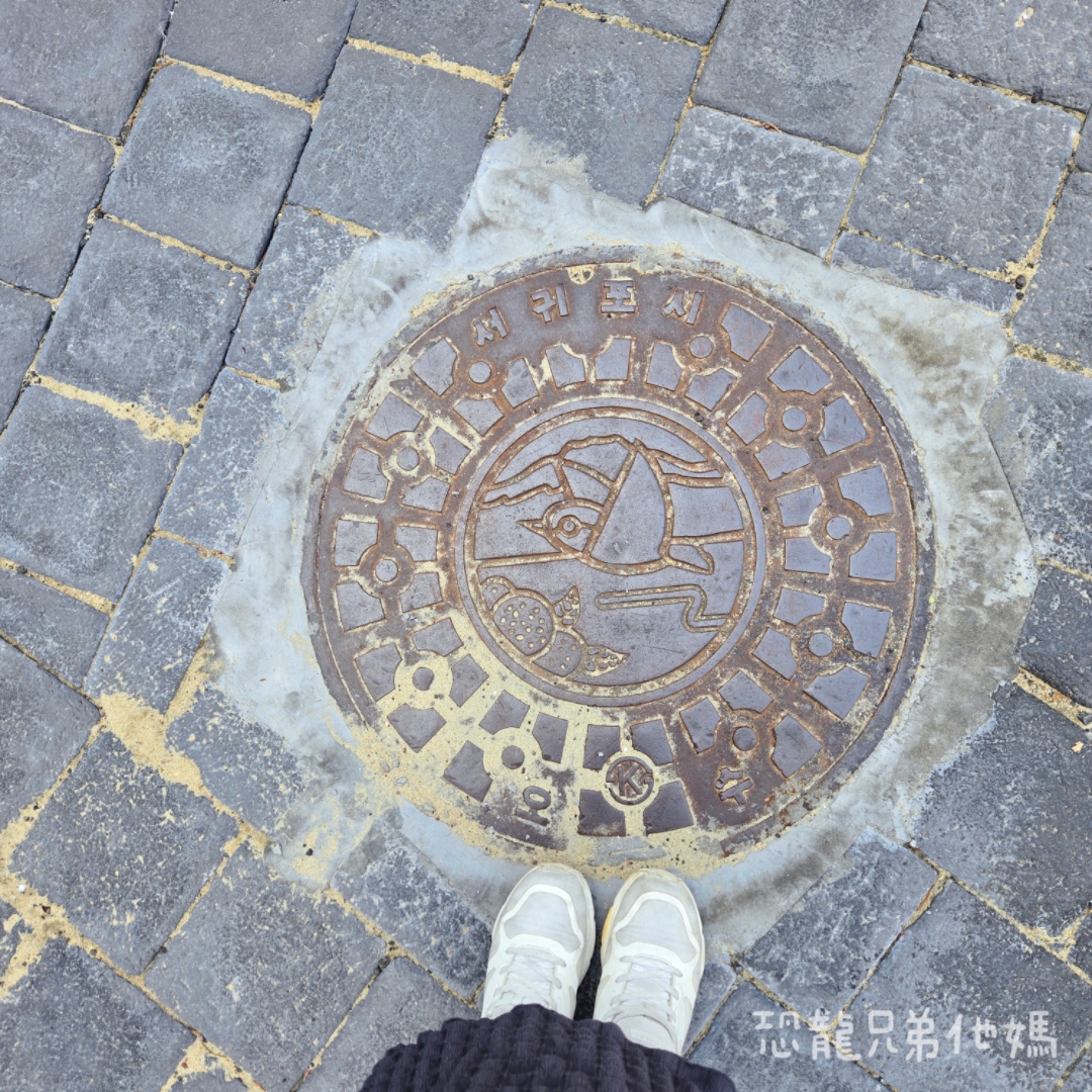 韓國‧濟州島│西歸浦市場旁,走訪韓國國民畫家李仲燮藝術街、李仲燮美術館(이중섭미술관),伴手禮、選物店,眺望西歸浦港2025.08 - 第15張圖 韓國‧濟州島│西歸浦市場旁,走訪韓國國民畫家李仲燮藝術街、李仲燮美術館(이중섭미술관),伴手禮、選物店,眺望西歸浦港2025.08