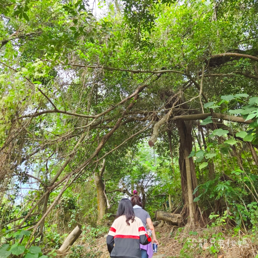 高雄‧大寮/鳳山│鳳凰山走走紀錄
