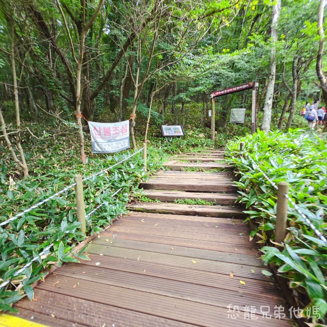 濟州島｜漢拏山國立公園，御乘生岳( 어승생악)和漢拏山旅客服務中心走走。2025.08