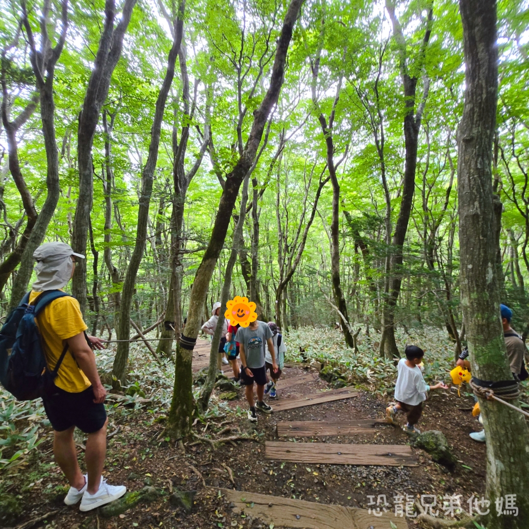 濟州島｜漢拏山國立公園，御乘生岳( 어승생악)和漢拏山旅客服務中心走走。2025.08