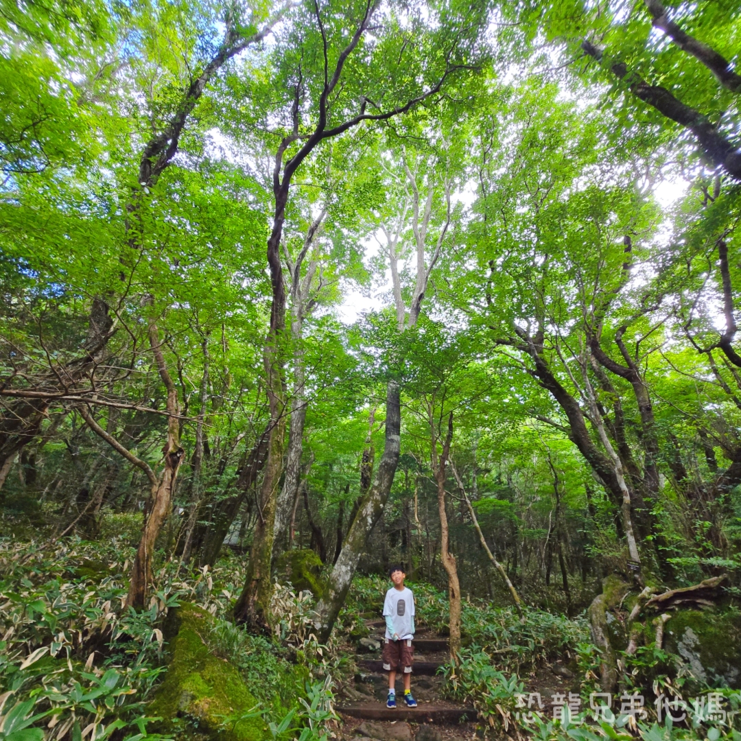 濟州島｜漢拏山國立公園，御乘生岳( 어승생악)和漢拏山旅客服務中心走走。2025.08