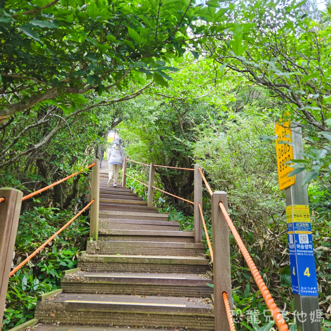 濟州島｜漢拏山國立公園，御乘生岳( 어승생악)和漢拏山旅客服務中心走走。2025.08