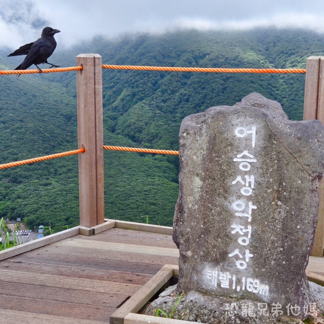 濟州島｜漢拏山國立公園，御乘生岳( 어승생악)和漢拏山旅客服務中心走走。2025.08