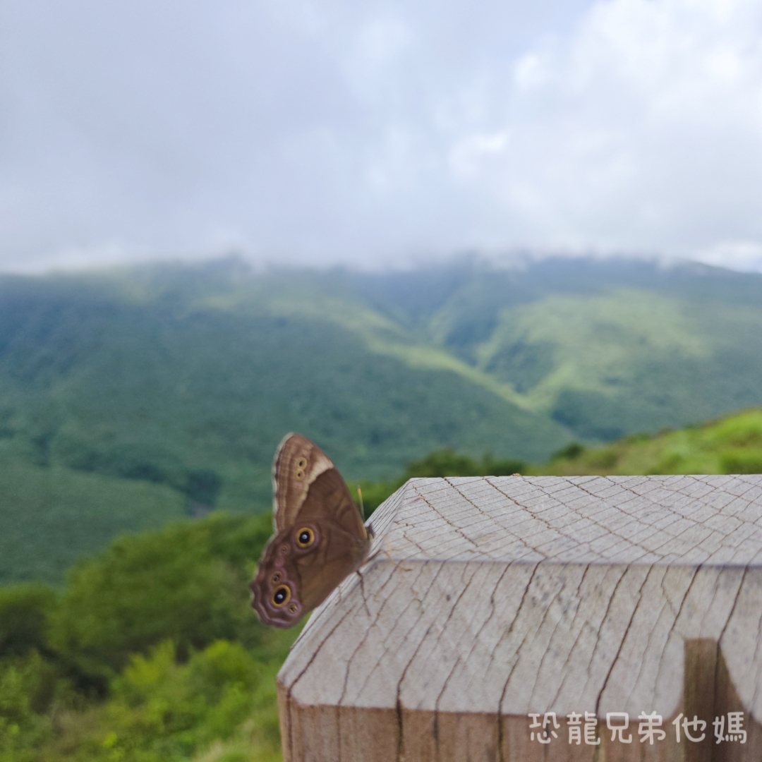 濟州島｜漢拏山國立公園，御乘生岳( 어승생악)和漢拏山旅客服務中心走走。2025.08