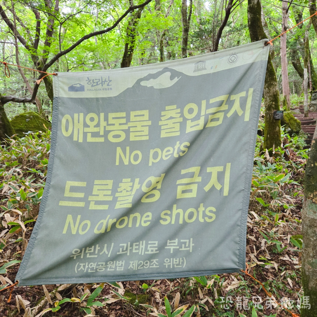 濟州島｜漢拏山國立公園，御乘生岳( 어승생악)和漢拏山旅客服務中心走走。2025.08