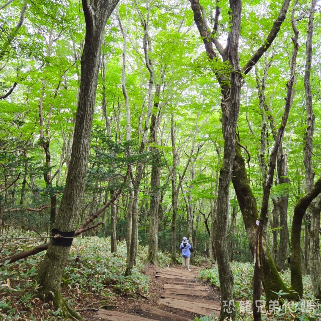 濟州島｜漢拏山國立公園，御乘生岳( 어승생악)和漢拏山旅客服務中心走走。2025.08