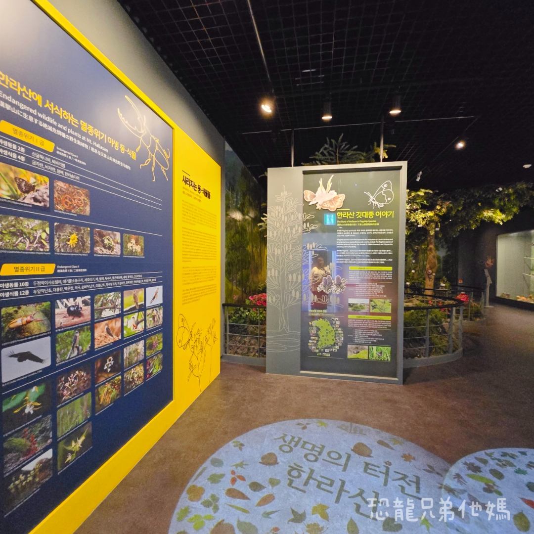 濟州島｜漢拏山國立公園，御乘生岳( 어승생악)和漢拏山旅客服務中心走走。2025.08