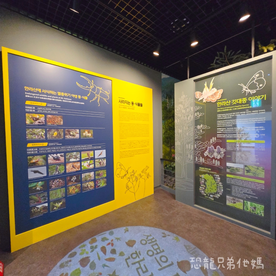 濟州島｜漢拏山國立公園，御乘生岳( 어승생악)和漢拏山旅客服務中心走走。2025.08