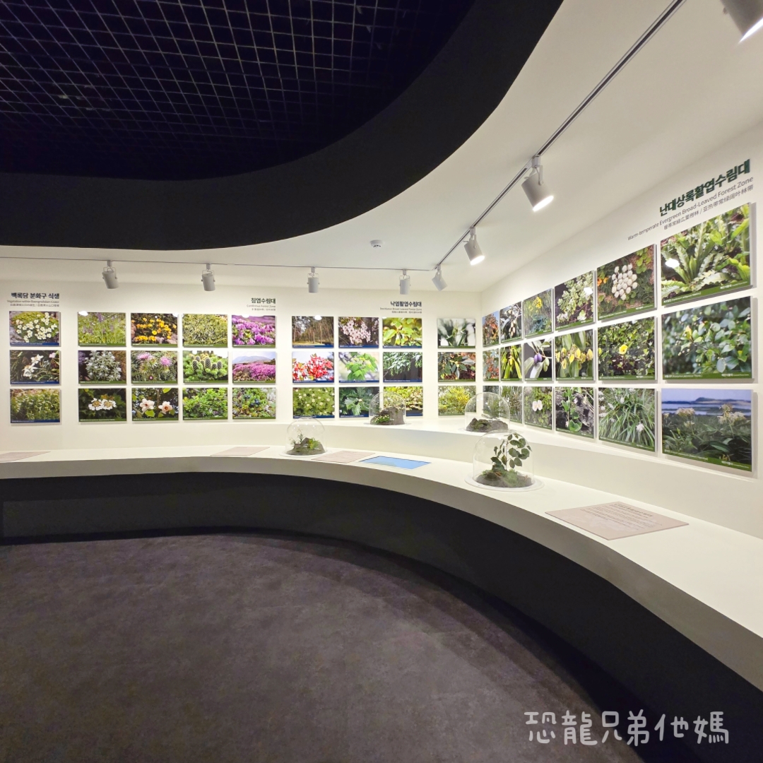 濟州島｜漢拏山國立公園，御乘生岳( 어승생악)和漢拏山旅客服務中心走走。2025.08