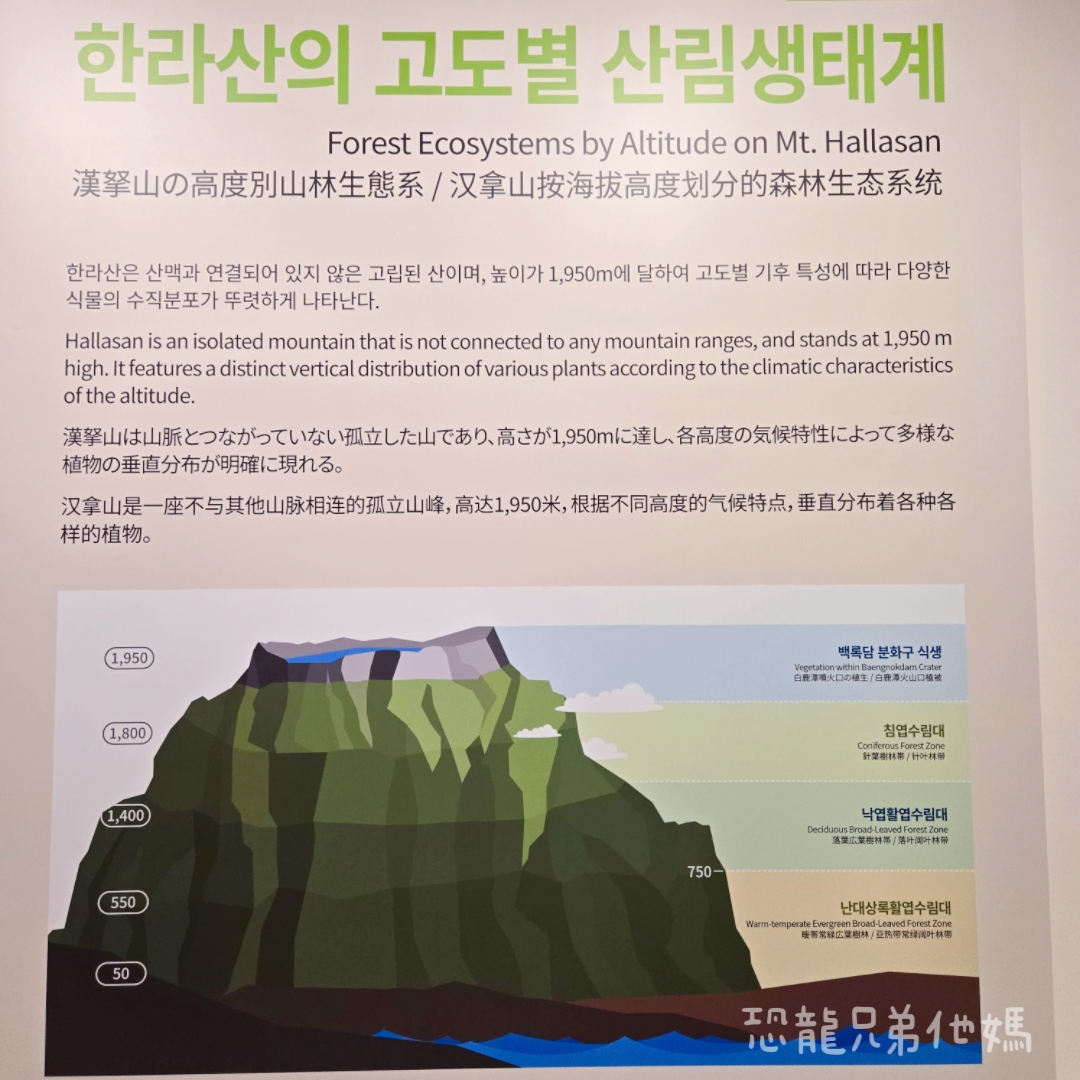 濟州島｜漢拏山國立公園，御乘生岳( 어승생악)和漢拏山旅客服務中心走走。2025.08