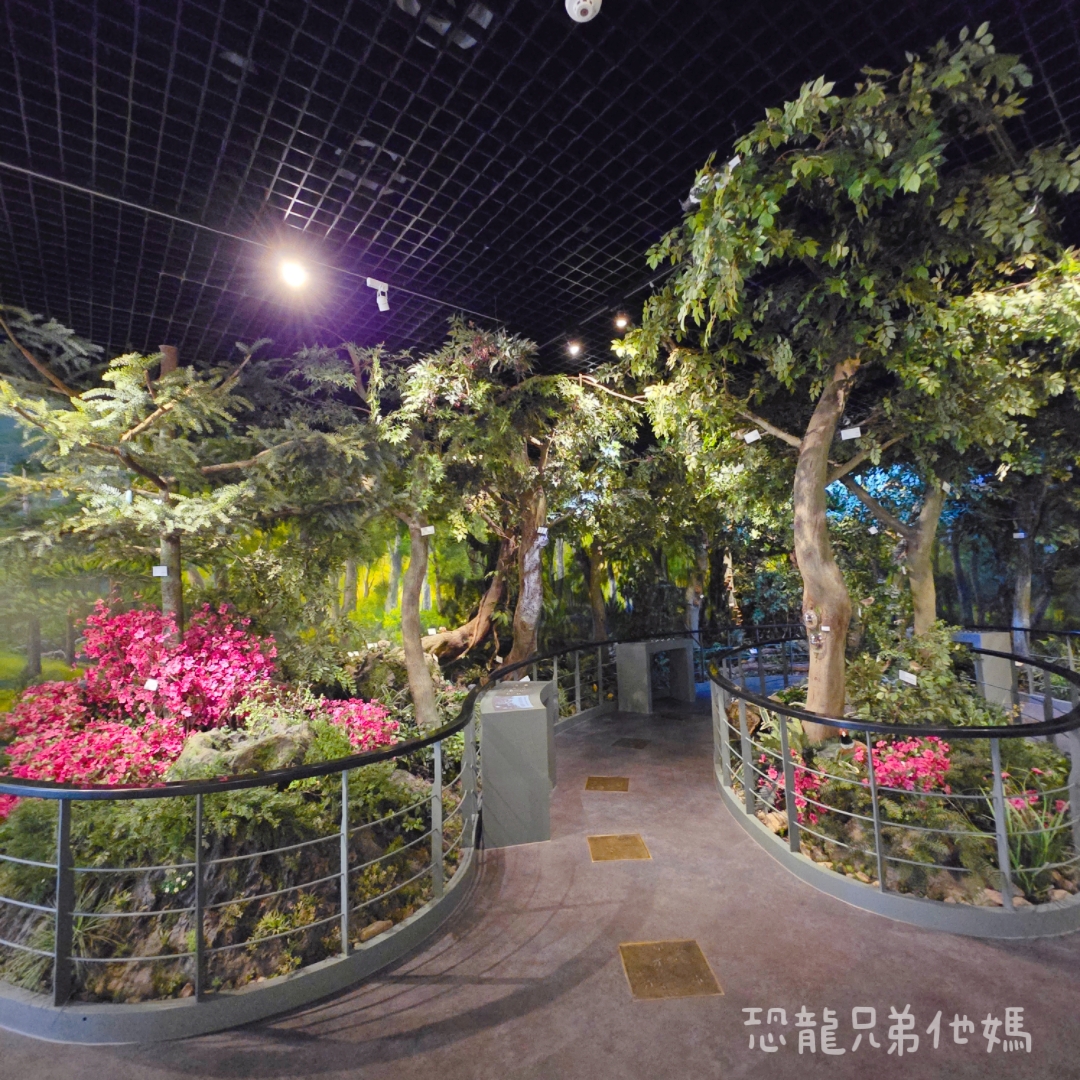 濟州島｜漢拏山國立公園，御乘生岳( 어승생악)和漢拏山旅客服務中心走走。2025.08