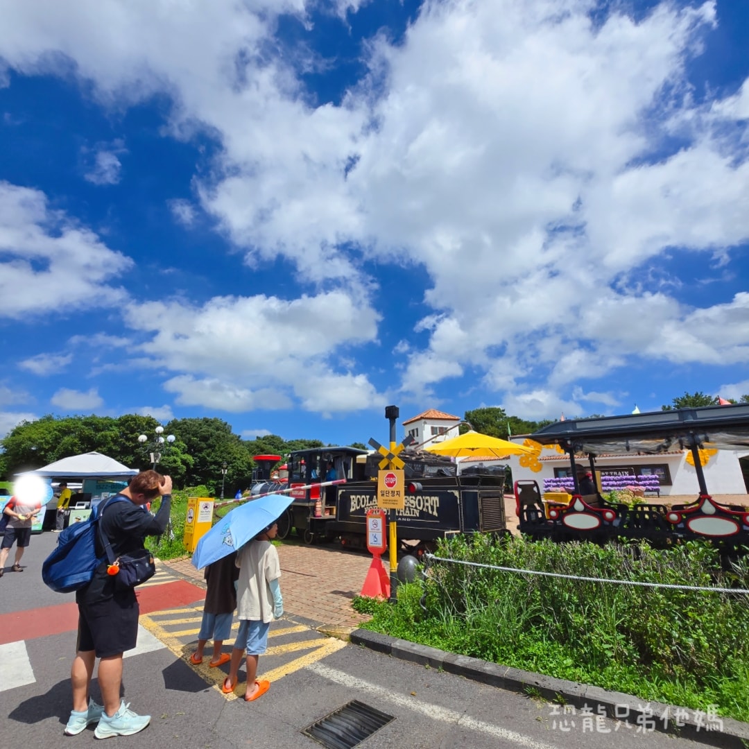 韓國‧濟州島│親子必玩 “ECOLAND 森林小火車樂園 “，夏日限定超刺激水槍大戰，園區好美好玩又好拍，大草皮上餵馬羊，限定表演秀!2025.8