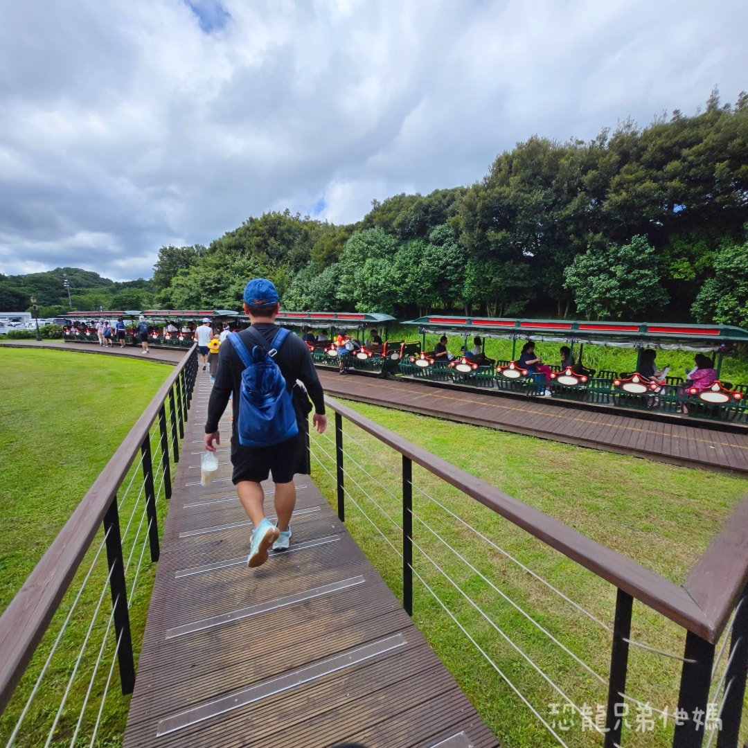 韓國‧濟州島│親子必玩 “ECOLAND 森林小火車樂園 “，夏日限定超刺激水槍大戰，園區好美好玩又好拍，大草皮上餵馬羊，限定表演秀!2025.8