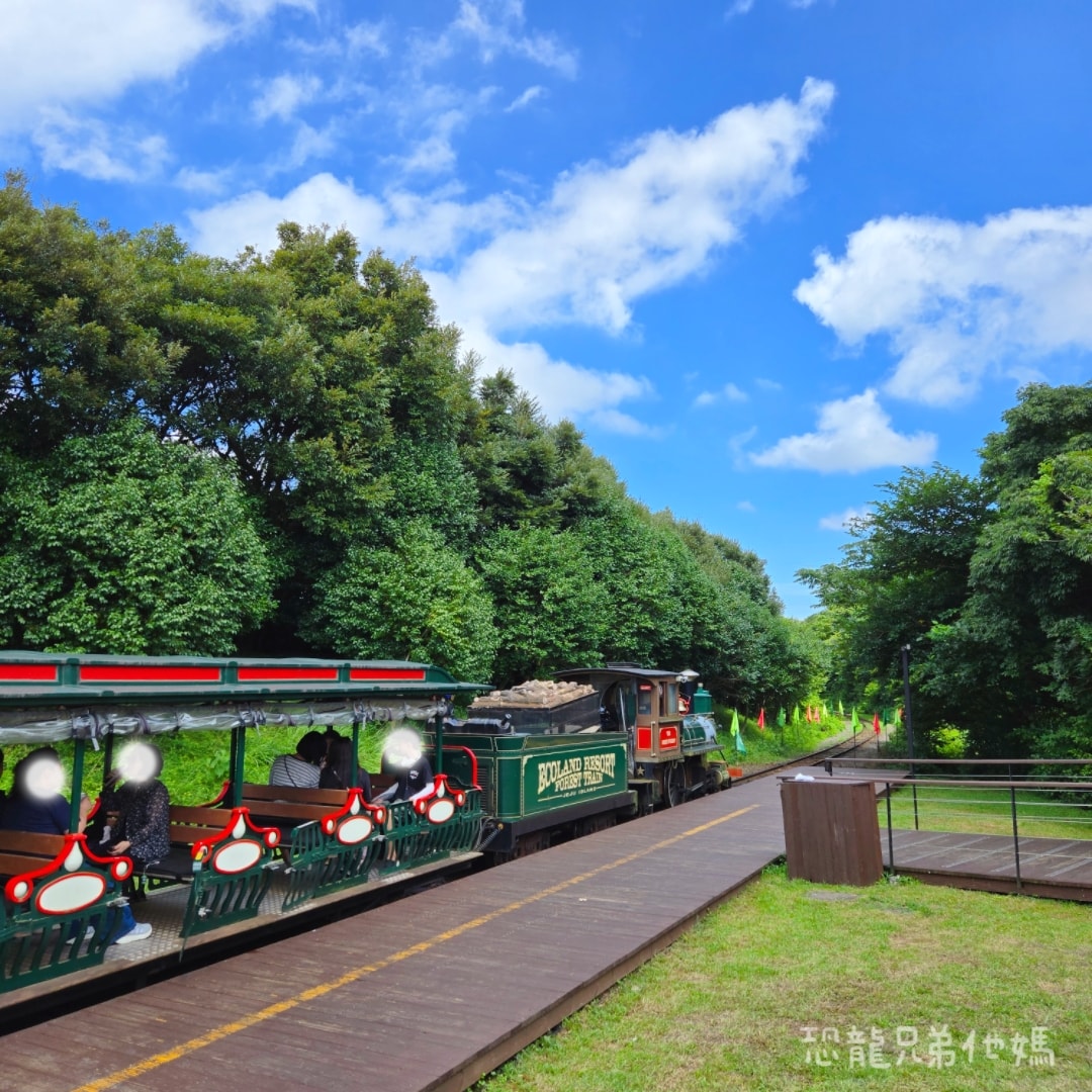 韓國‧濟州島│親子必玩 “ECOLAND 森林小火車樂園 “，夏日限定超刺激水槍大戰，園區好美好玩又好拍，大草皮上餵馬羊，限定表演秀!2025.8