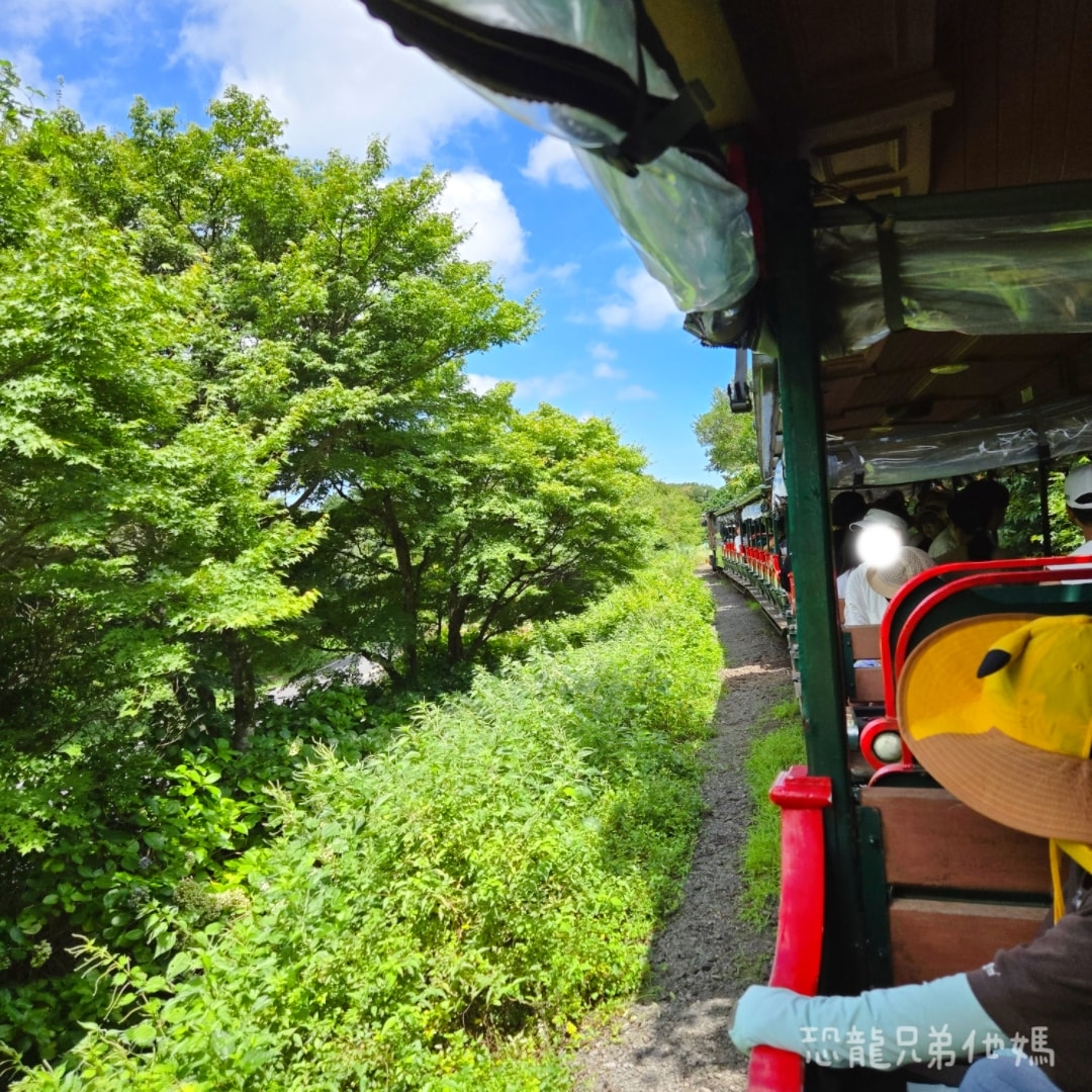韓國‧濟州島│親子必玩 “ECOLAND 森林小火車樂園 “，夏日限定超刺激水槍大戰，園區好美好玩又好拍，大草皮上餵馬羊，限定表演秀!2025.8
