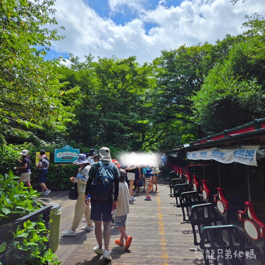 韓國‧濟州島│親子必玩 “ECOLAND 森林小火車樂園 “，夏日限定超刺激水槍大戰，園區好美好玩又好拍，大草皮上餵馬羊，限定表演秀!2025.8