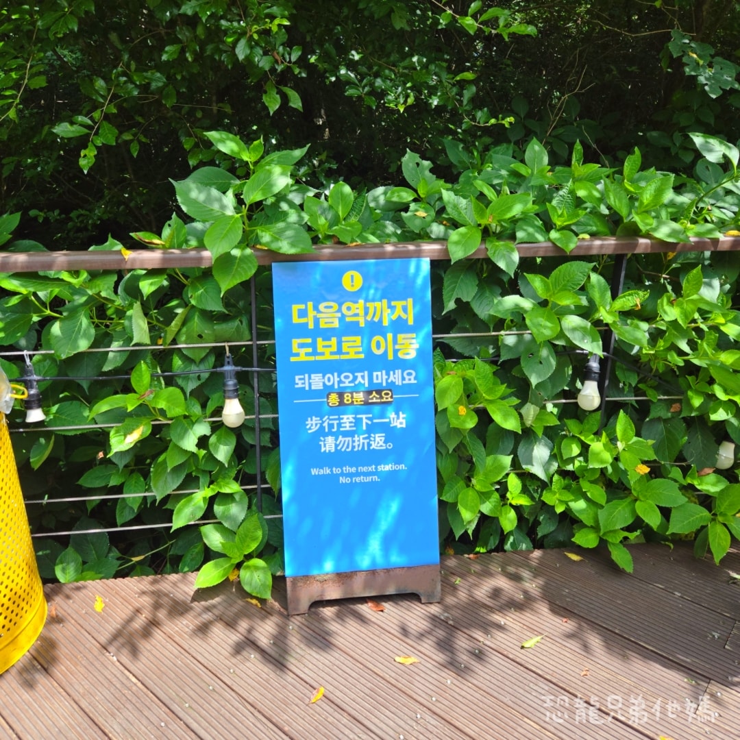 韓國‧濟州島│親子必玩 “ECOLAND 森林小火車樂園 “，夏日限定超刺激水槍大戰，園區好美好玩又好拍，大草皮上餵馬羊，限定表演秀!2025.8