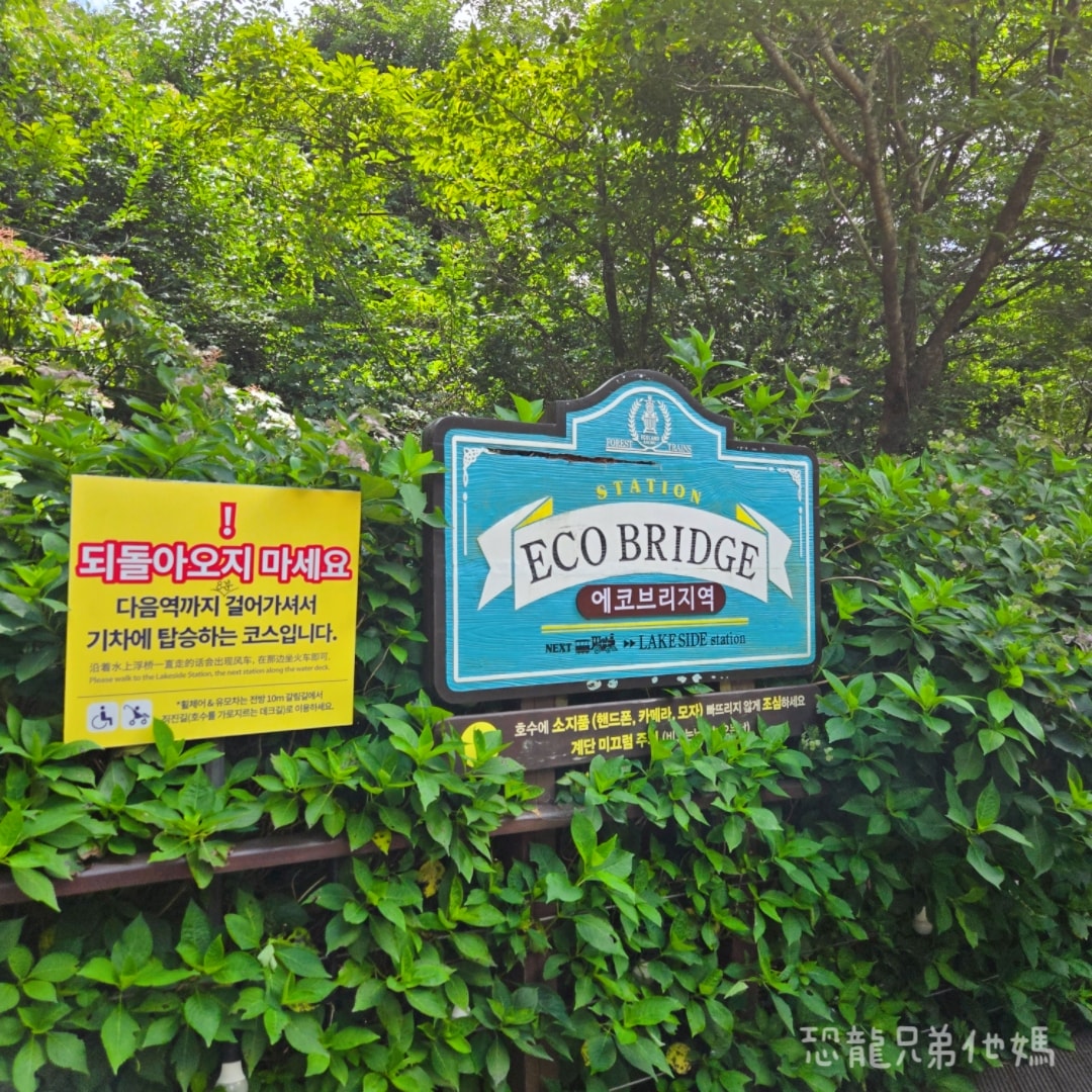 韓國‧濟州島│親子必玩 “ECOLAND 森林小火車樂園 “，夏日限定超刺激水槍大戰，園區好美好玩又好拍，大草皮上餵馬羊，限定表演秀!2025.8