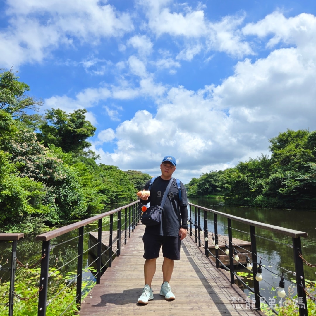 韓國‧濟州島│親子必玩 “ECOLAND 森林小火車樂園 “，夏日限定超刺激水槍大戰，園區好美好玩又好拍，大草皮上餵馬羊，限定表演秀!2025.8
