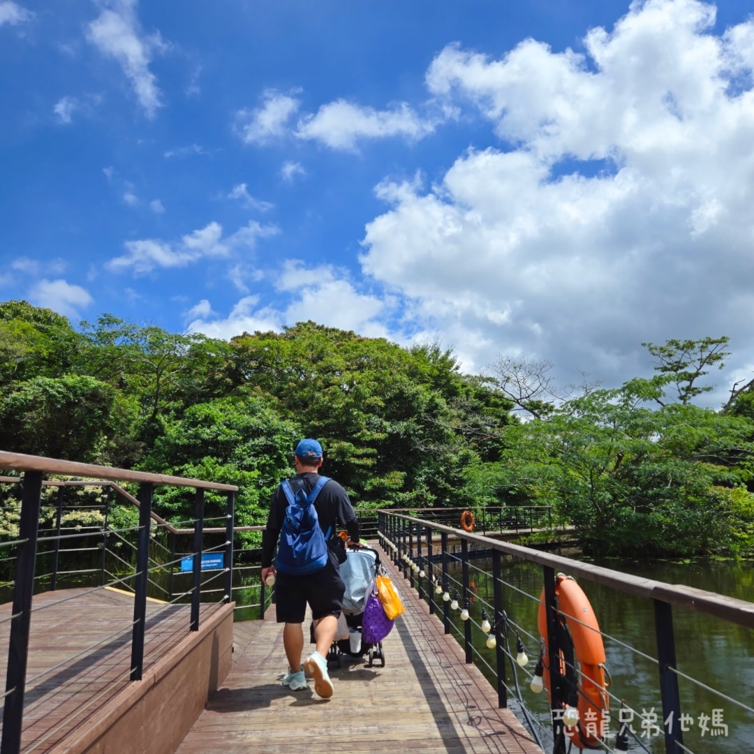 韓國‧濟州島│親子必玩 “ECOLAND 森林小火車樂園 “，夏日限定超刺激水槍大戰，園區好美好玩又好拍，大草皮上餵馬羊，限定表演秀!2025.8